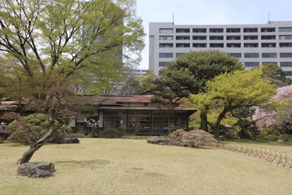 Hermoso jardín japonés con un lago — Foto de Stock