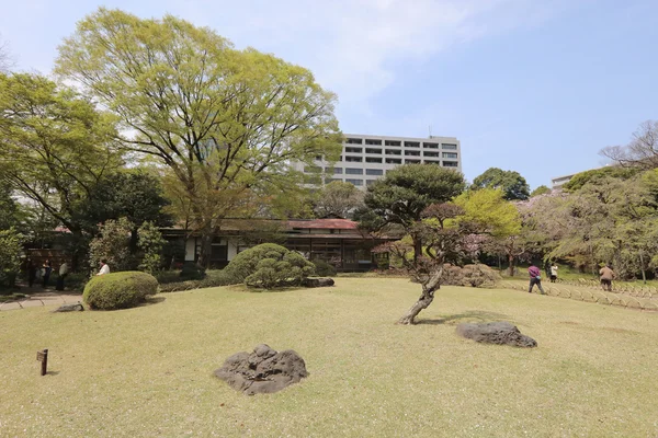 Vacker japansk trädgård med en sjö — Stockfoto