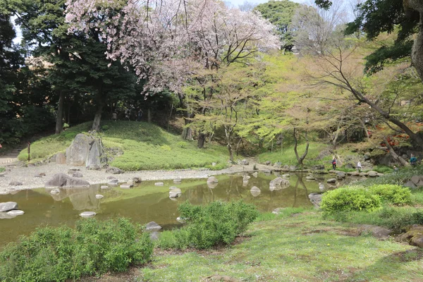 Koishikawa Korakuen сад на весну — стокове фото