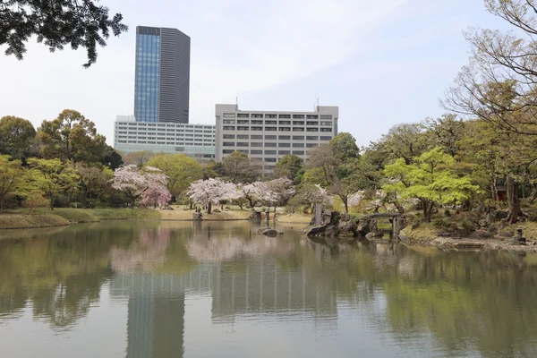 Japanischer Garten mit See — Stockfoto
