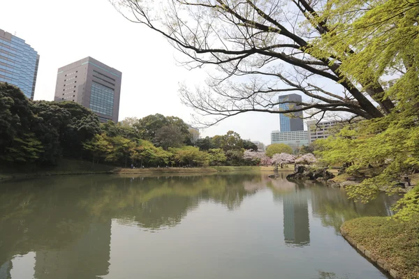 Koishikawa Korakuen сад — стокове фото