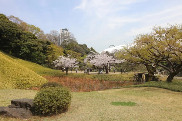 Koishikawa Korakuen trädgård på våren — Stockfoto