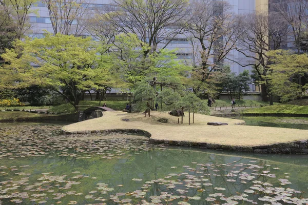 Koishikawa Korakuen Paisaje jardín —  Fotos de Stock