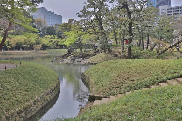 Jardim japonês com um lago — Fotografia de Stock