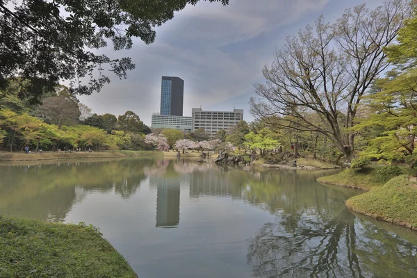 Koishikawa korakuen Gartenlandschaft — Stockfoto