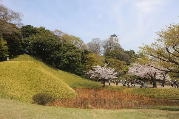 Jardín Koishikawa Korakuen en primavera —  Fotos de Stock