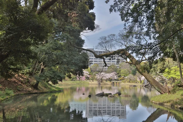 Japansk trädgård med en sjö — Stockfoto