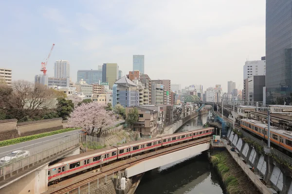 Los trenes pasan sobre el río Kanda — Foto de Stock