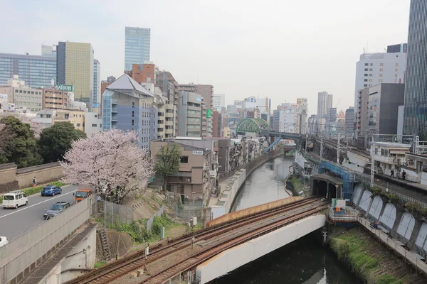 Los trenes pasan sobre el río Kanda — Foto de Stock