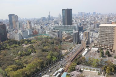Tokyo şehir manzarası. Bunkyo ward havadan görünümü.