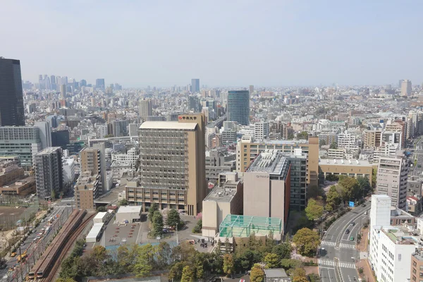 东京圆顶城市地区鸟瞰图 — 图库照片