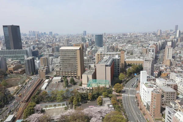 Линия горизонта Токио. Вид с высоты птичьего полета — стоковое фото