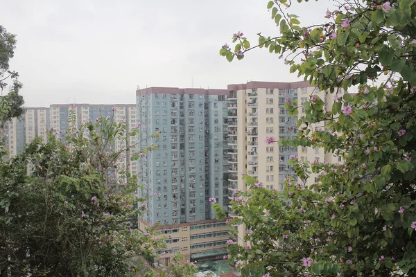 Architettura moderna astratta a Hong Kong — Foto Stock