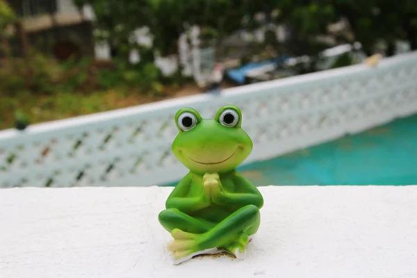 Een pop van de frong in de tuin ingericht — Stockfoto