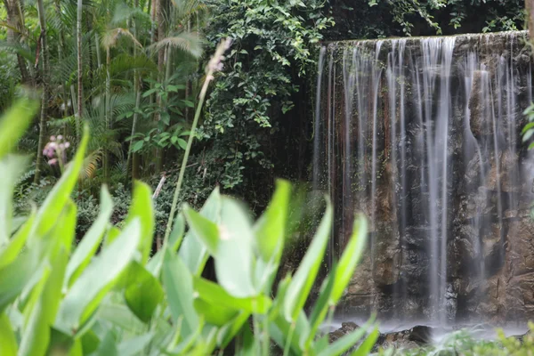 Прекрасний водоспад у парку — стокове фото