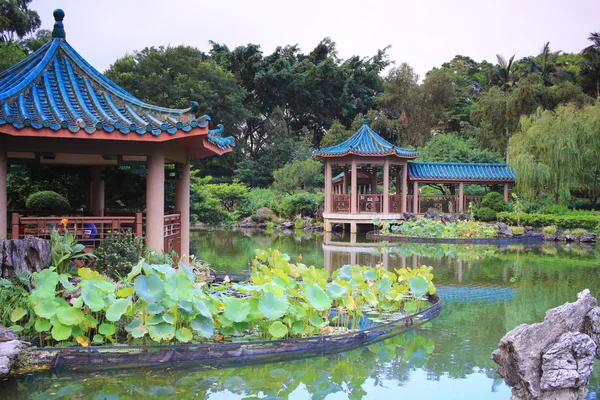 Lotus Győr Hong Lok Park — Stock Fotó