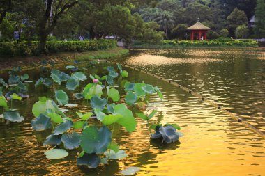 Göl reklam Excellentiam yaz