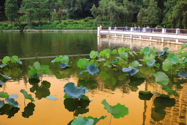 Weerspiegeling van de Lake Cuhk — Stockfoto