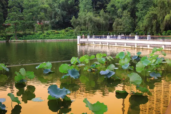 Weerspiegeling van de Lake Cuhk — Stockfoto