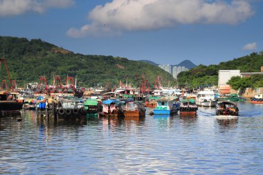 Shau Kei Wan tayfun barınak 