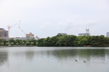 Havuz ve Bahçe Ohori Park Ukemi-yapmak