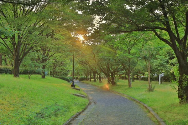 El parque de la Biblioteca de la Ciudad Chuo — Foto de Stock