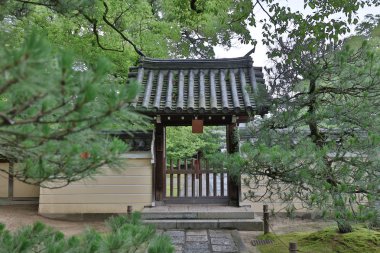 Buddha Tapınağı: Fukuoka, Japan