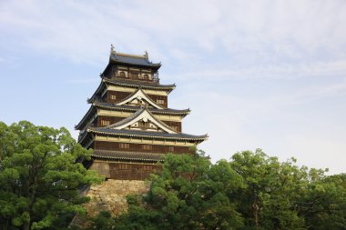 Hiroşima, Japonya cityscape kalede.