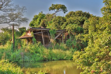 Ha Pak Lai gölette balık 