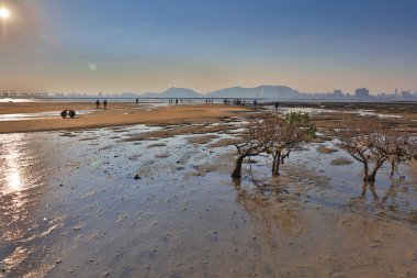 Sunset beach Pak Nai hk