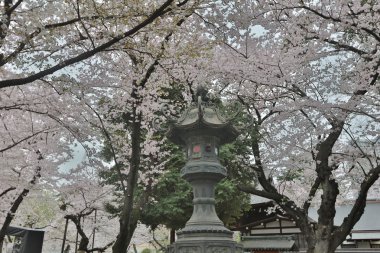 Yasukuni türbe taşına lamba