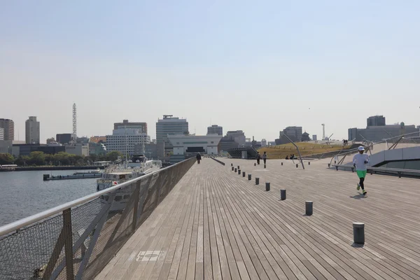 Paysage Du Pont Au Japon — Photo