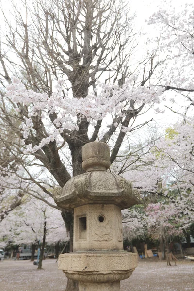 Πέτρα φανάρι στο ιαπωνικό κήπο στο Yushukan — Φωτογραφία Αρχείου