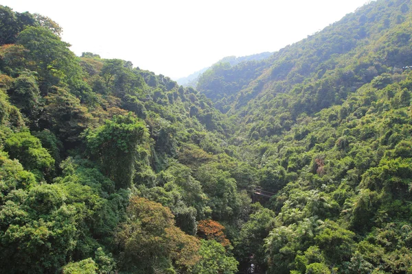 Das Kotau-Reservoir — Stockfoto