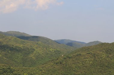 sai görünümünü doğa kung 