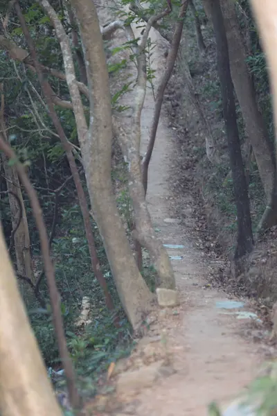 Caminho Aldeia Campo Hong Kong — Fotografia de Stock