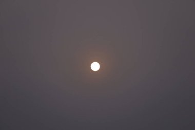 Doğada dolunay, Cadılar Bayramı 31 Ekim 2020