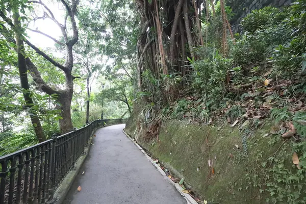 Οδός Λούγκαρντ Στο Σύννεφο Στο Victoria Peak Χονγκ Κονγκ Οκτωβρίου — Φωτογραφία Αρχείου