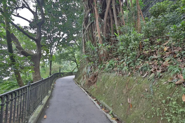 Lugard Road Pilvessä Victoria Peakissa Hong Kongissa Lokakuuta 2020 — kuvapankkivalokuva