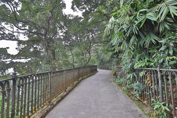 Οδός Λούγκαρντ Στο Σύννεφο Στο Victoria Peak Χονγκ Κονγκ Οκτωβρίου — Φωτογραφία Αρχείου