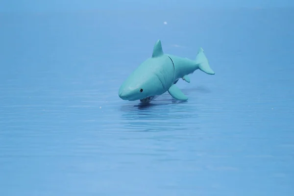 Juguete Tiburón Aislado Fondo Azul — Foto de Stock