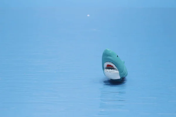 鲨鱼玩具被隔离在蓝色的后座上 — 图库照片