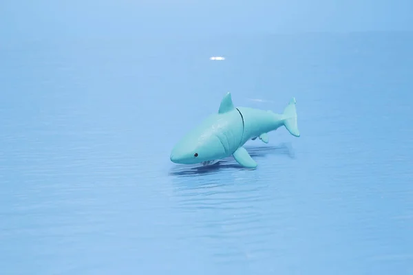 鲨鱼玩具被隔离在蓝色的后座上 — 图库照片