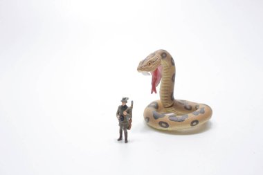 Yılan kovanının ölçeği avcı.