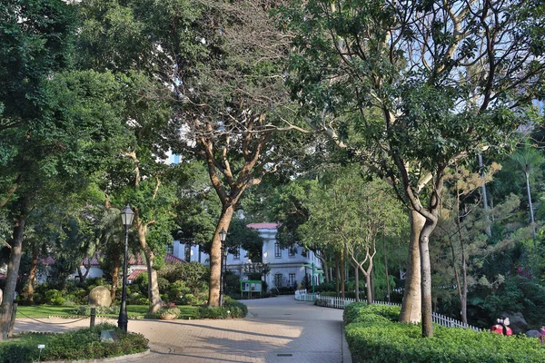 Nov 2020 Διαδρομή Στο Hong Kong Park Χονγκ Κονγκ — Φωτογραφία Αρχείου