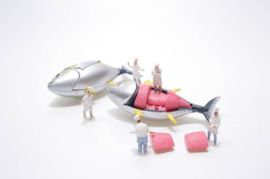 Ton balığı kesme ölçeği. Bıçak, şef..