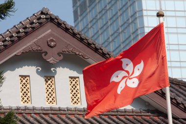 Hükümet binasının önündeki Hong Kong bayrağı 11 Npv 2007