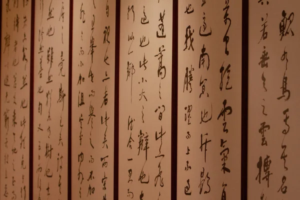 Starożytna Chińska Kaligrafia Tył Ziemi Orental Lis 2007 — Zdjęcie stockowe