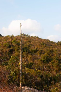 Razor Hill 'de bir patika, Sai kung hk