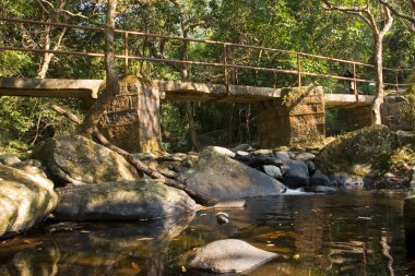 1 Ocak 2006 Plover Cove Country Park, tai po, hk